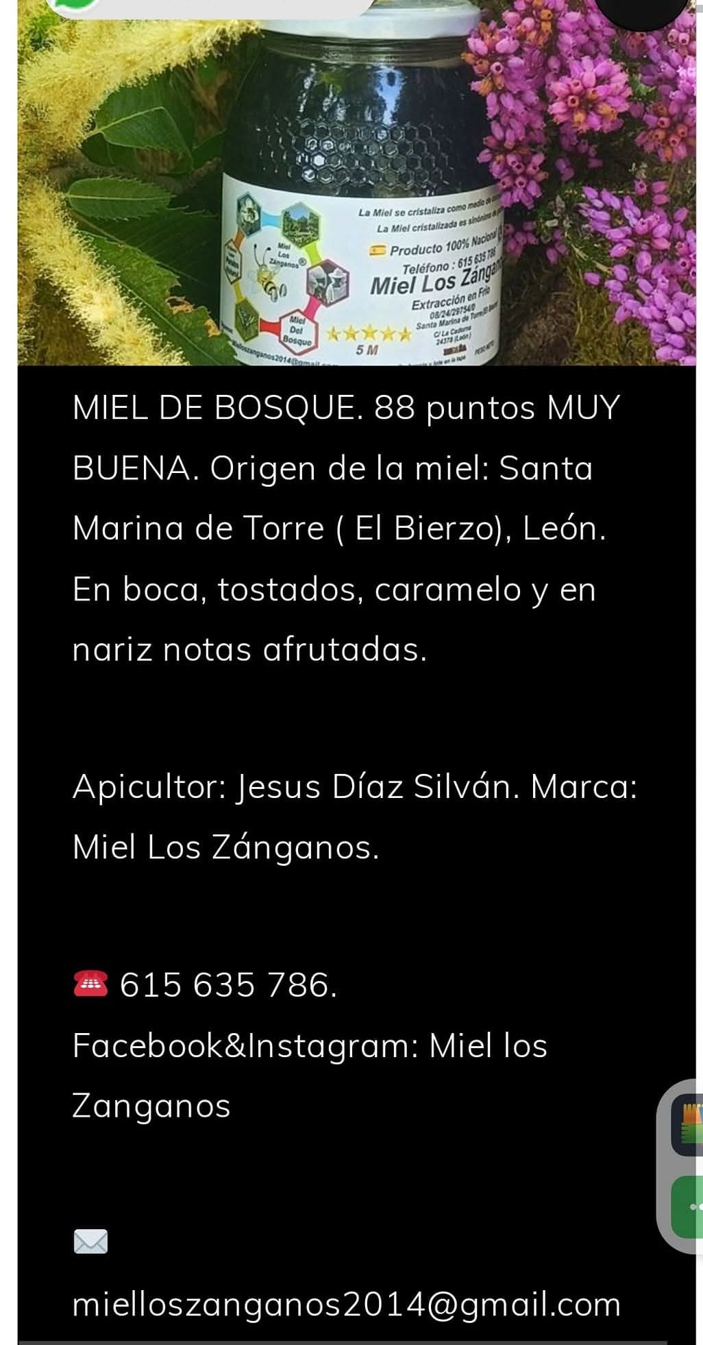 Miel de Bosque 5M