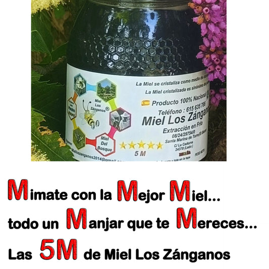 Miel de Bosque 5M