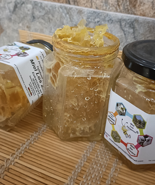 Miel En Panal 100g