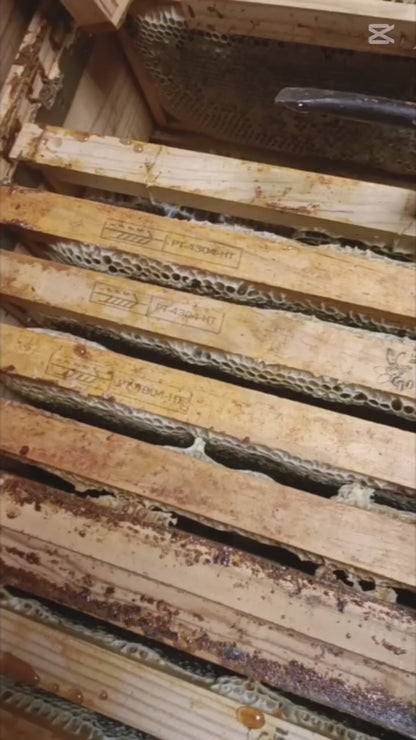 Miel En Panal en Forma de Corazón ❤️ 220g