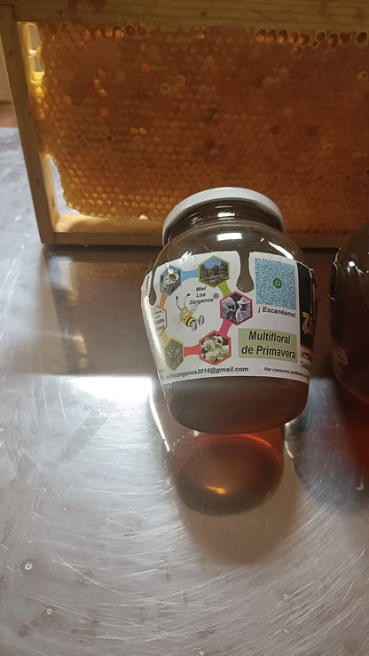 Miel Multifloral de Primavera (copia)
