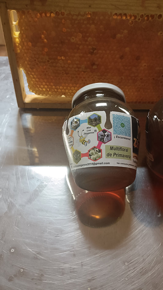 Miel Multifloral de Primavera